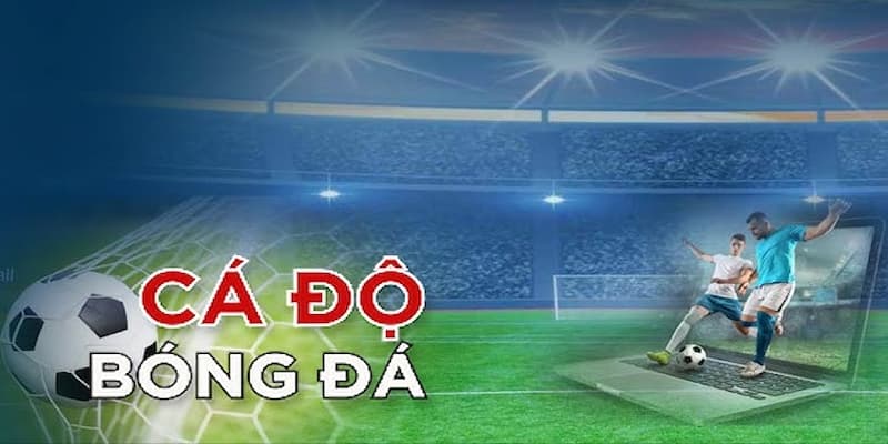 Bong88 Các hình thức cá cược phổ biến tại Bong88