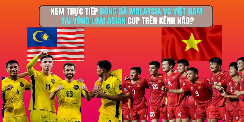 Lưu ý khi chọn nền tảng xem bóng đá trực tiếp