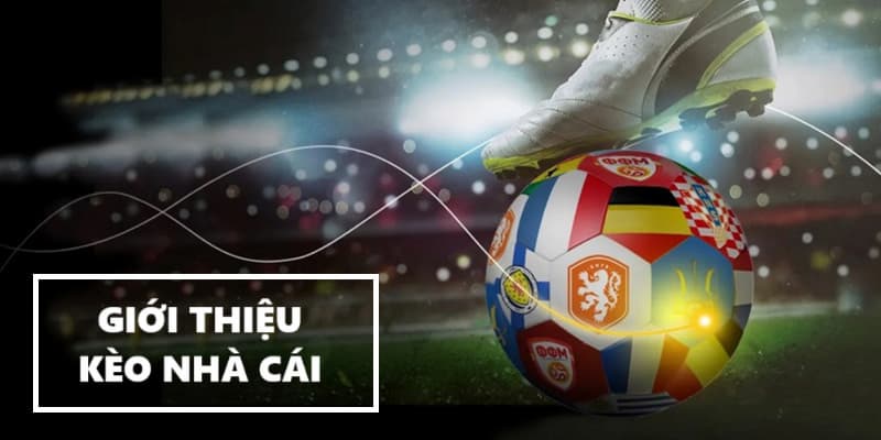 Giới thiệu Tổng quan và giới thiệu về Soi kèo nhà cái