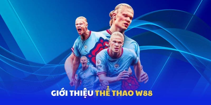 W88 Tổng quan về nhà cái W88