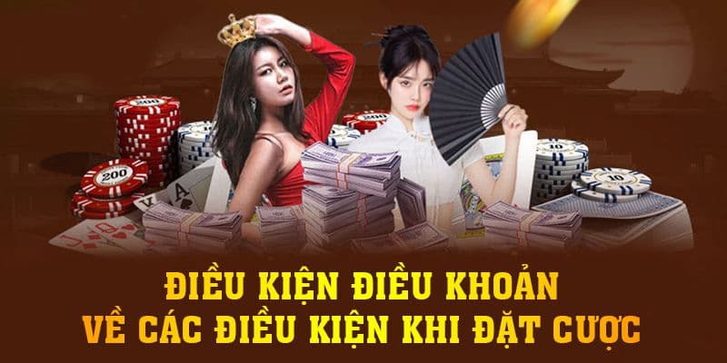 điều kiện điều khoản Vai trò của điều kiện điều khoản trong nền tảng soi kèo